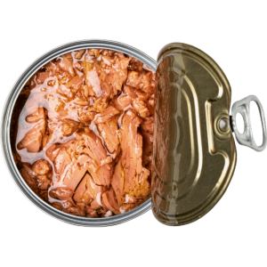 Konserve Ton Balığı